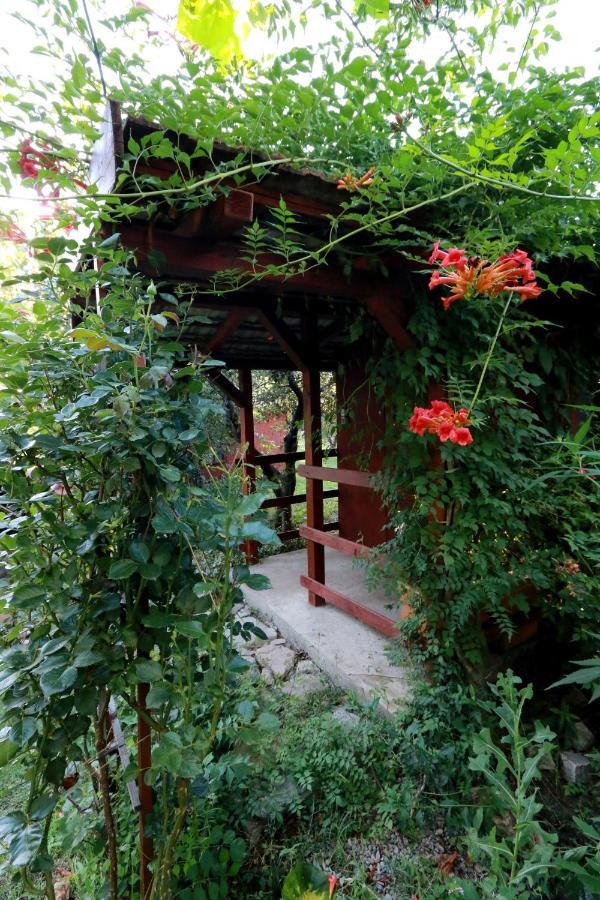 La Livada Villa Greci Dış mekan fotoğraf