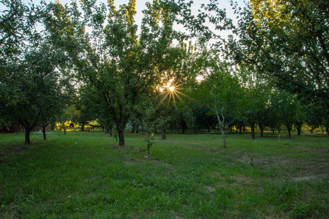 La Livada Villa Greci Dış mekan fotoğraf