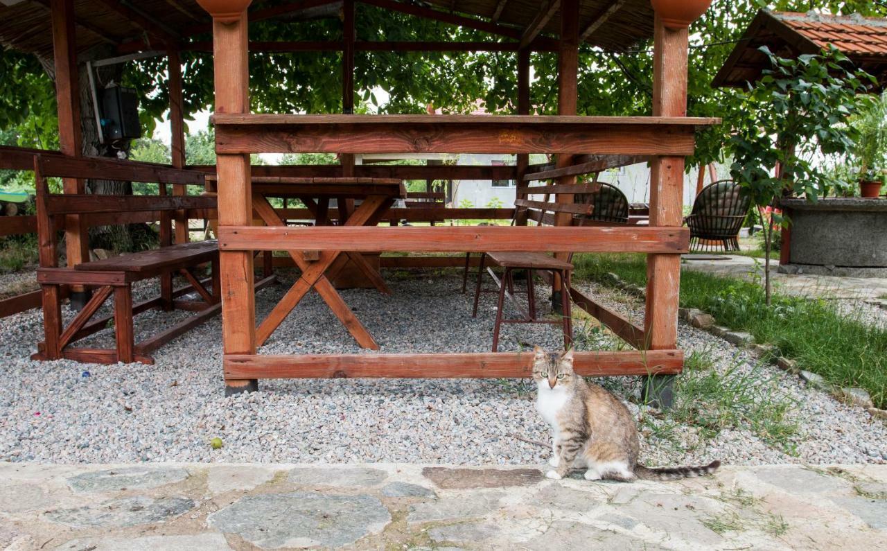 La Livada Villa Greci Dış mekan fotoğraf