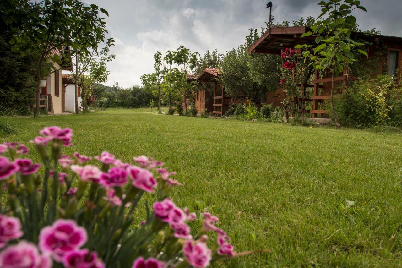 La Livada Villa Greci Dış mekan fotoğraf