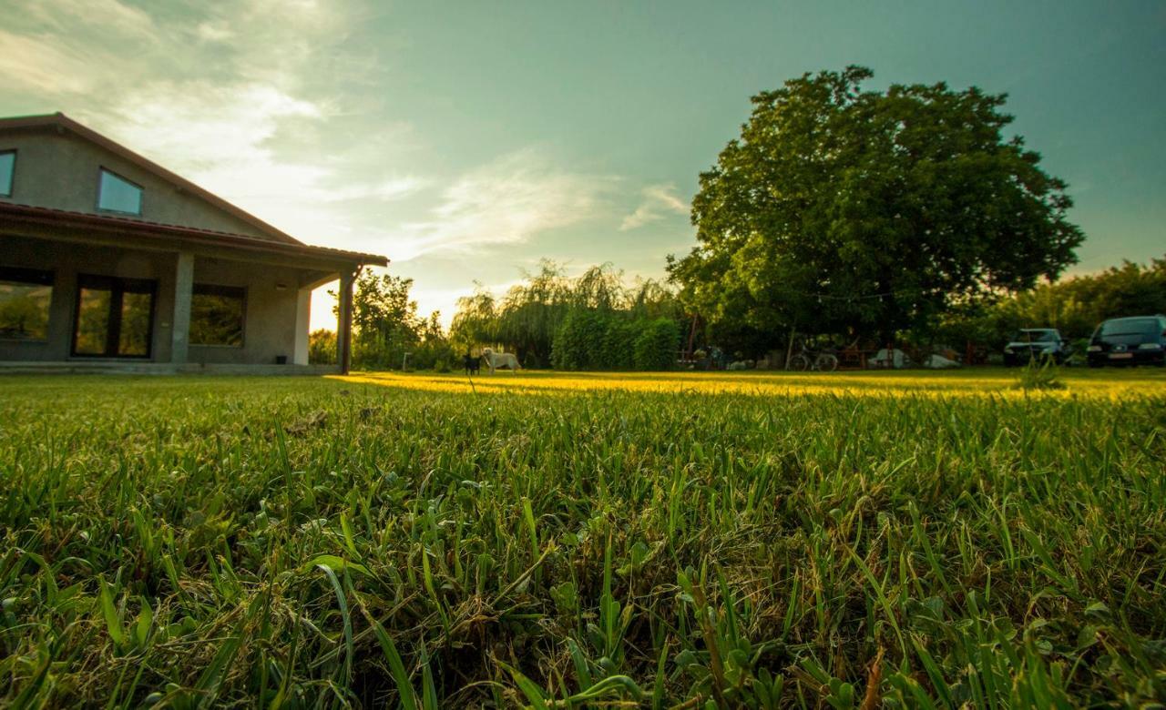 La Livada Villa Greci Dış mekan fotoğraf